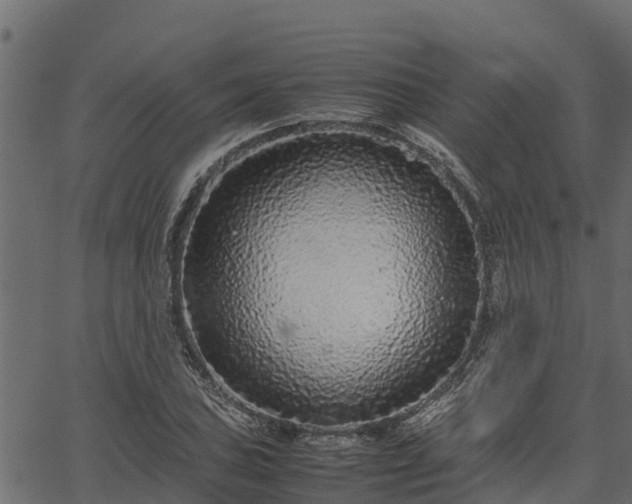 X0000066941027200603311412