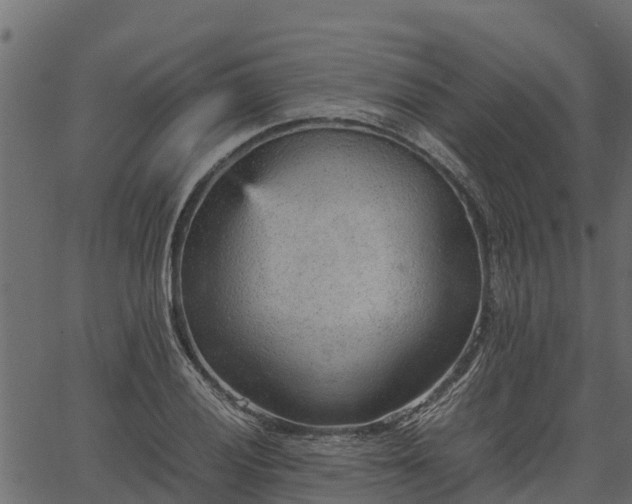 X0000066941028200603311412