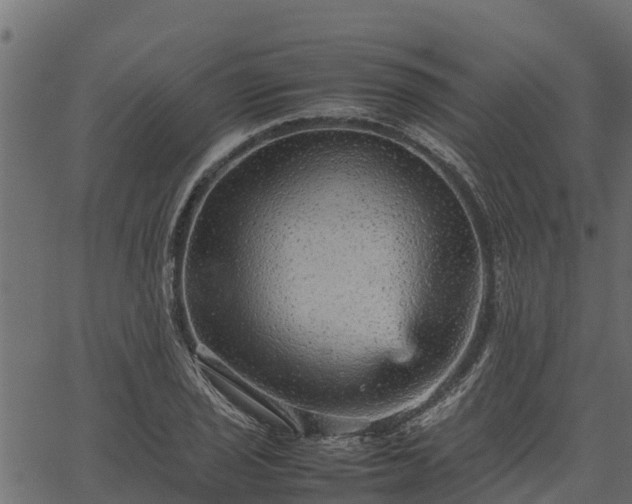 X0000066941029200603311412