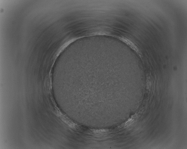 X0000066941031200603311412