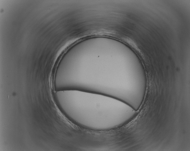 X0000066941032200603311412