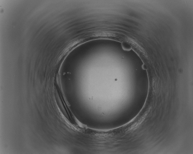 X0000066941033200603311412