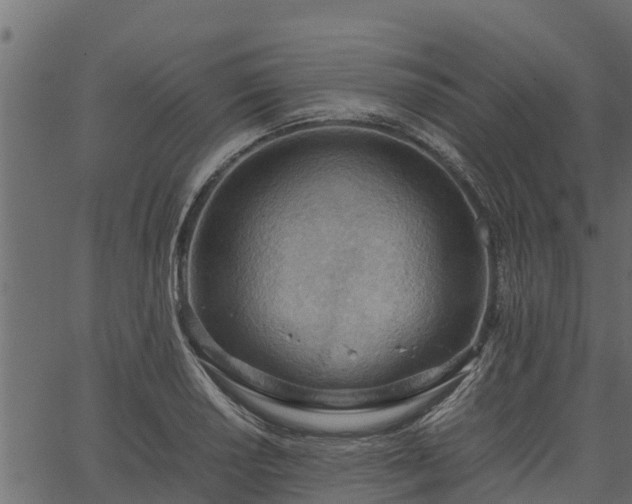 X0000066941034200603311412