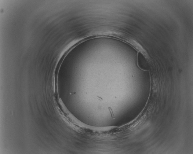 X0000066941036200603311412