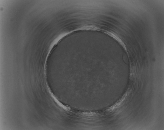 X0000066941037200603311412