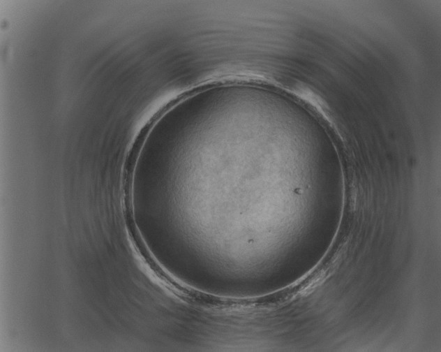 X0000066941038200603311412