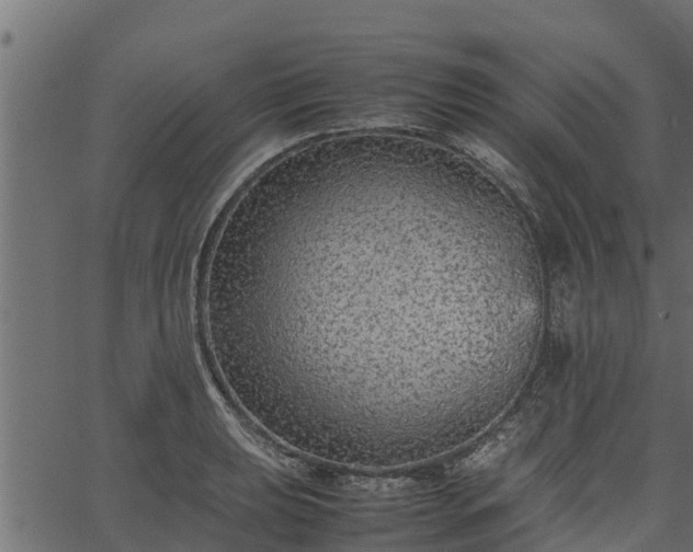 X0000066941039200603311412