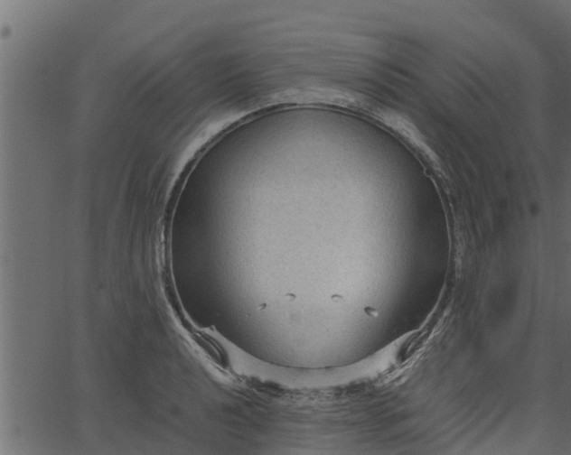 X0000066941040200603311412