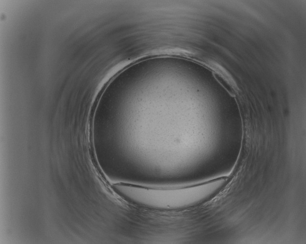 X0000066941044200603311412