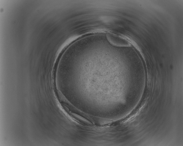 X0000066941045200603311412