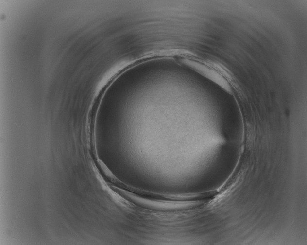 X0000066941046200603311412