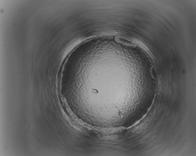 X0000066941047200603311412