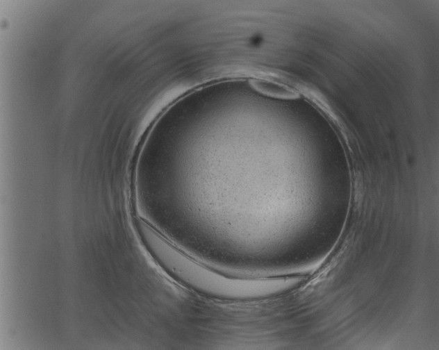 X0000066941048200603311412