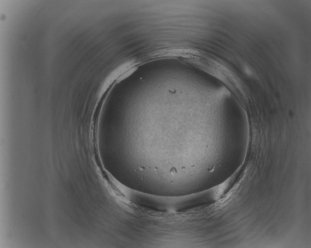 X0000066941050200603311412