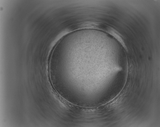 X0000066941051200603311412