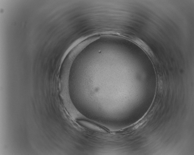 X0000066941052200603311412