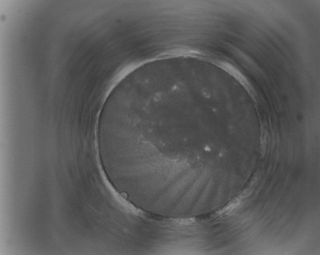 X0000066941055200603311412