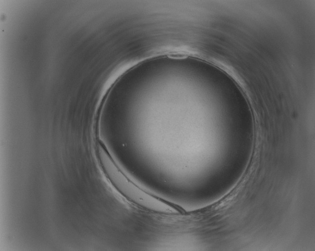 X0000066941056200603311412