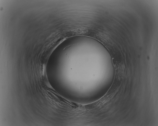 X0000066941058200603311411