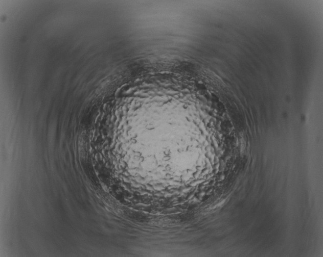 X0000066941059200603311411