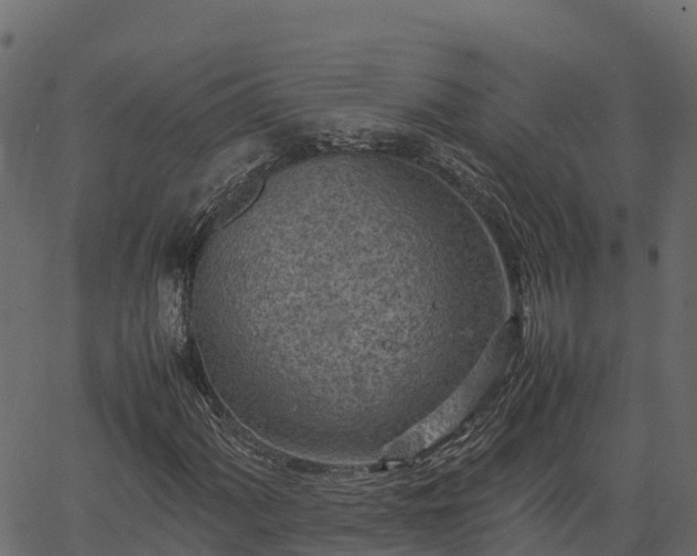 X0000066941060200603311411