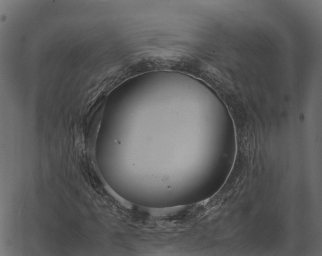 X0000066941061200603311411