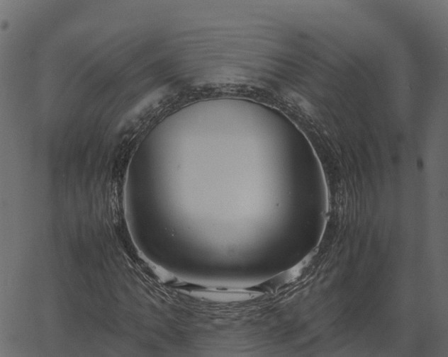 X0000066941062200603311411