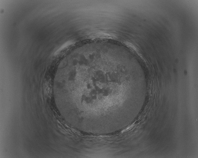 X0000066941063200603311411