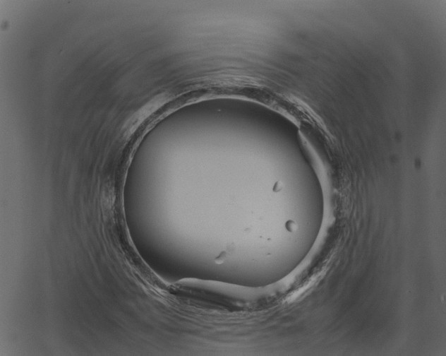 X0000066941065200603311411