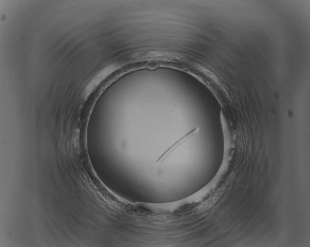 X0000066941066200603311411