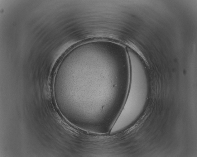 X0000066941068200603311411