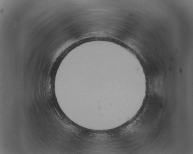 X0000066941070200603311411