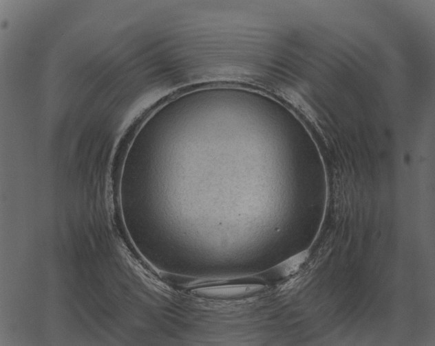 X0000066941072200603311411