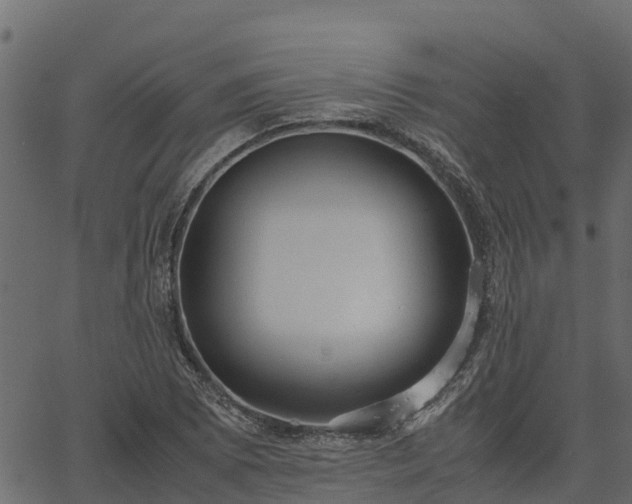 X0000066941073200603311411