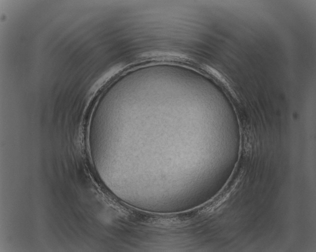 X0000066941074200603311411