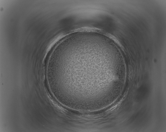 X0000066941075200603311411