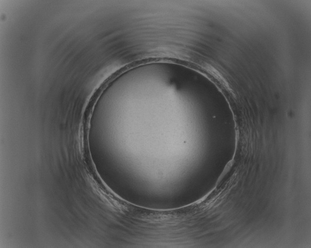 X0000066941076200603311411