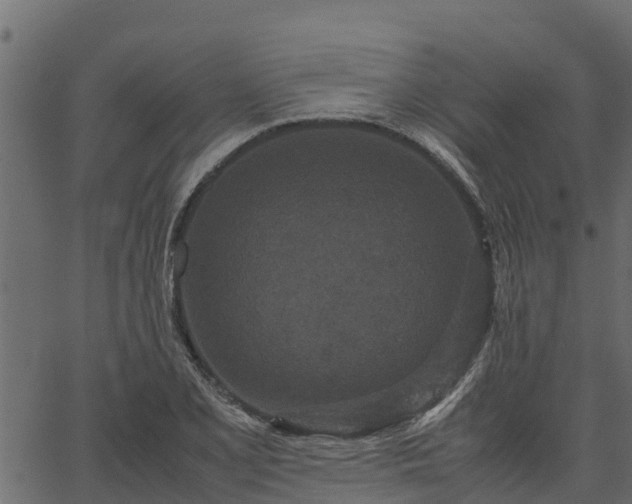 X0000066941077200603311411