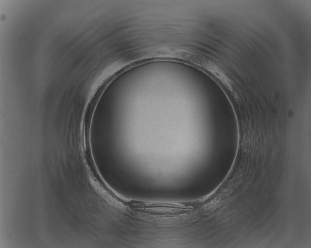 X0000066941080200603311411