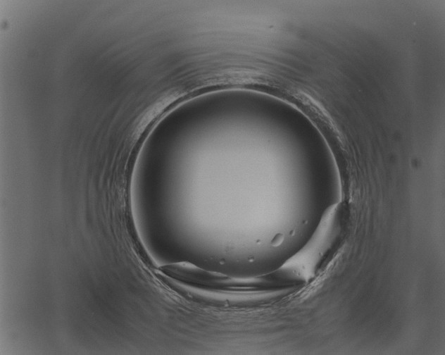 X0000066941081200603311411