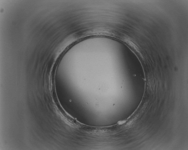 X0000066941082200603311411