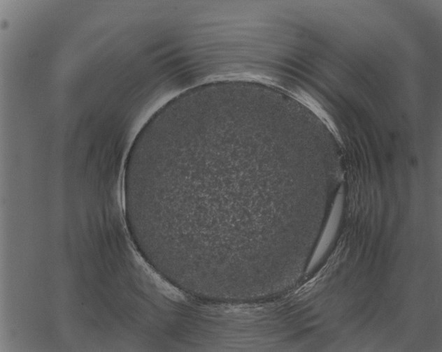 X0000066941084200603311411