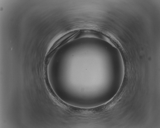 X0000066941085200603311411