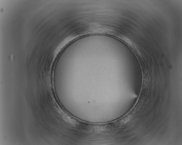 X0000066941086200603311411