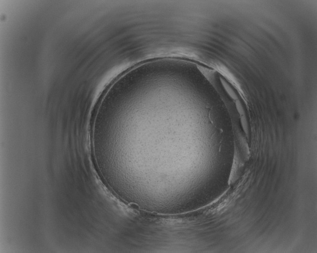 X0000066941088200603311411