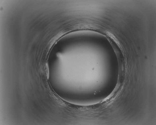 X0000066941089200603311411