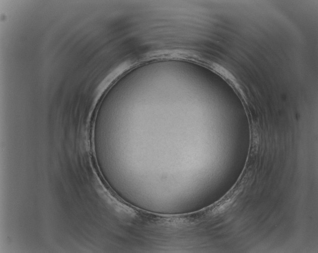 X0000066941090200603311411