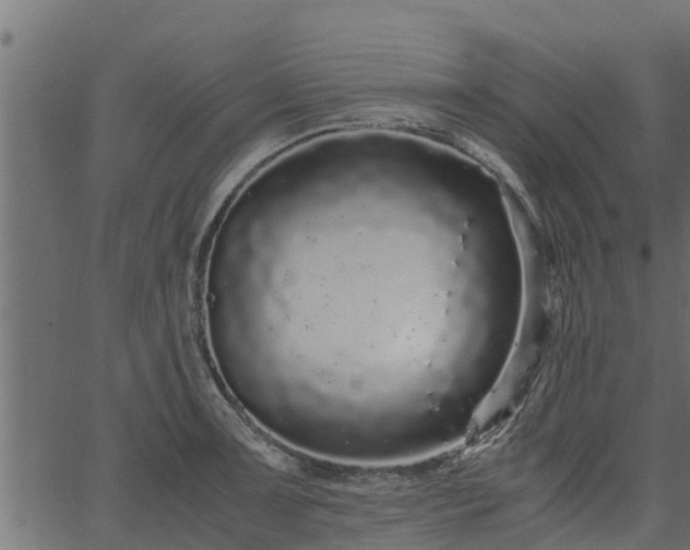 X0000066941091200603311411