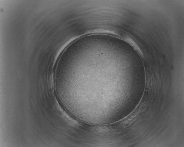 X0000066941092200603311411