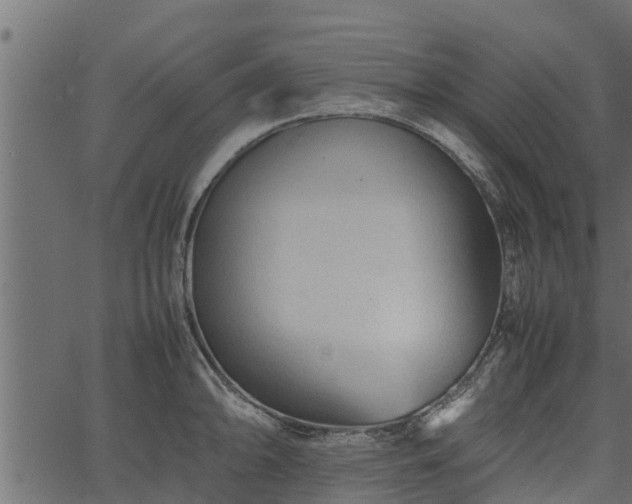 X0000066941094200603311411